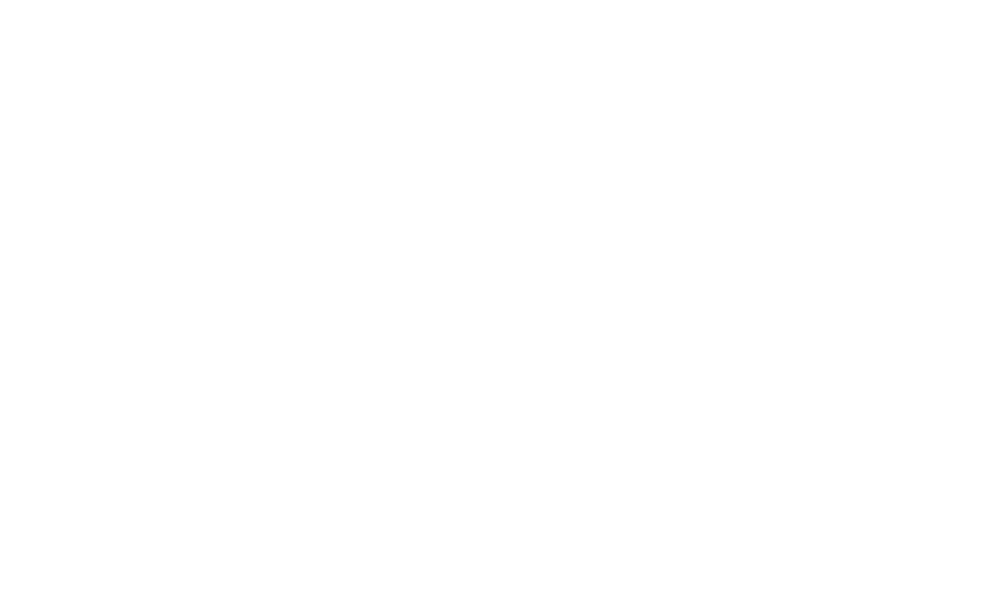 Mid atlantic arts logo white